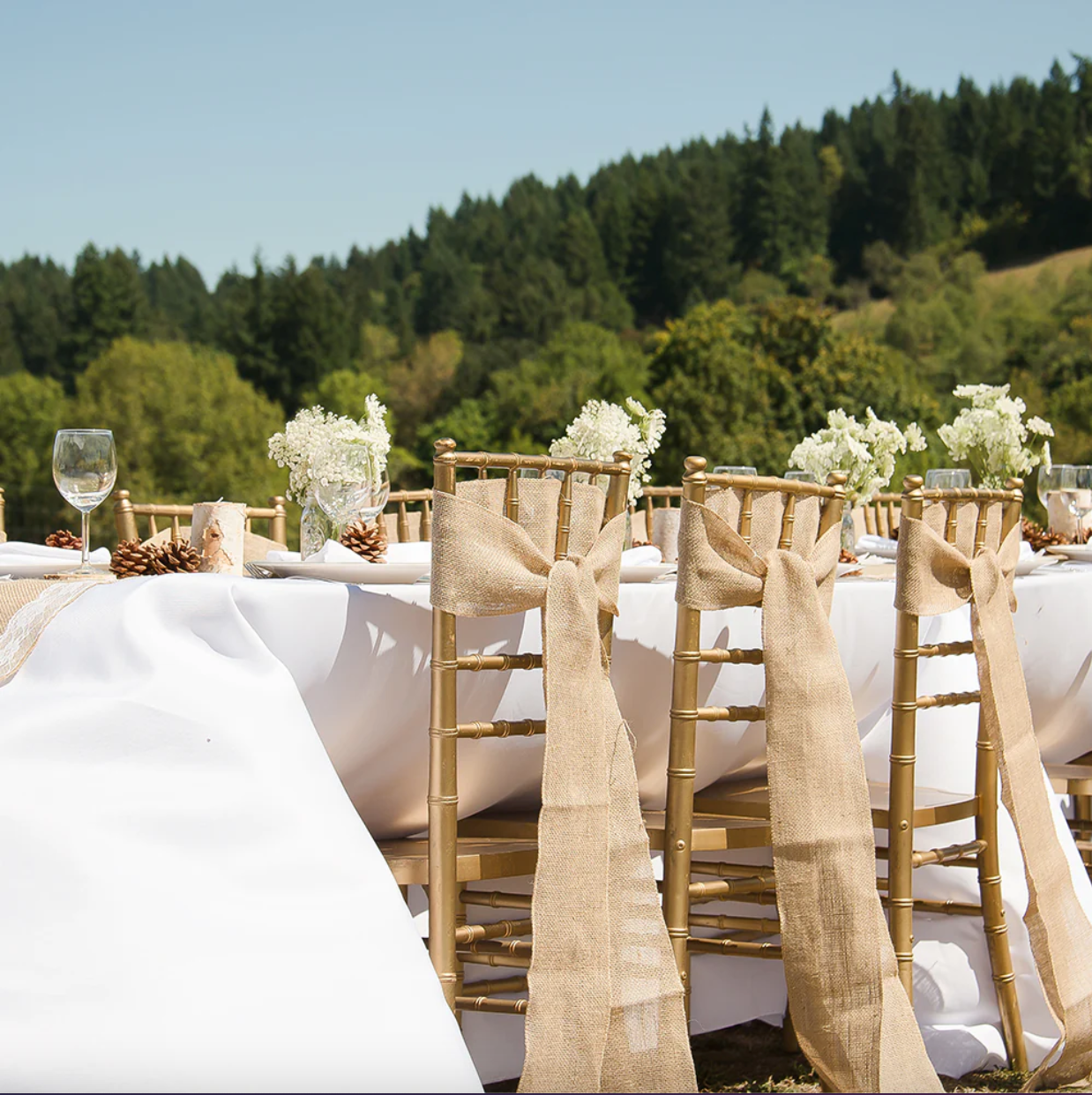 White or Black Rectangle Table Linens